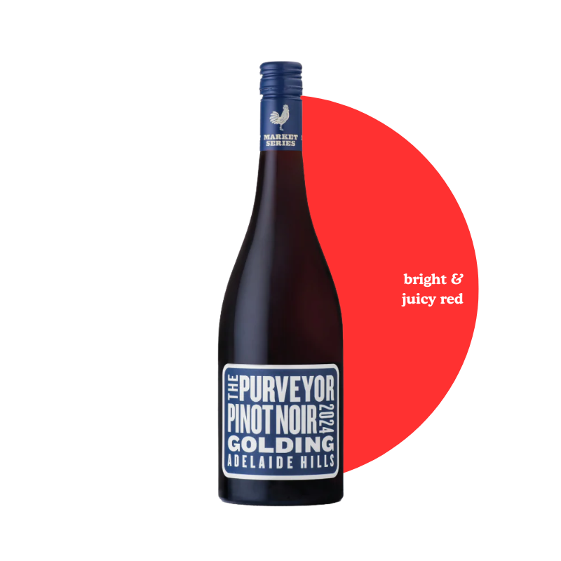 Golding "Purveyor" Pinot Noir 2024