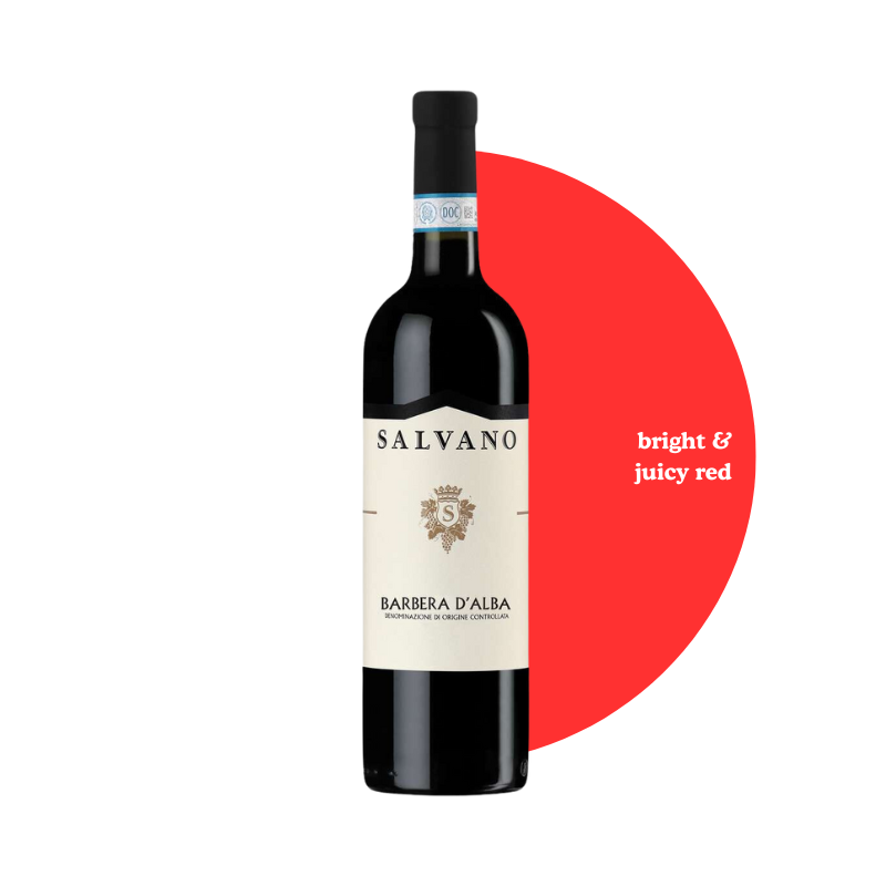 Salvano Barbera d'Alba DOC